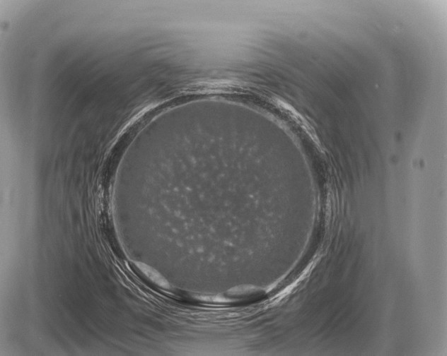 X0000087421449200704201414