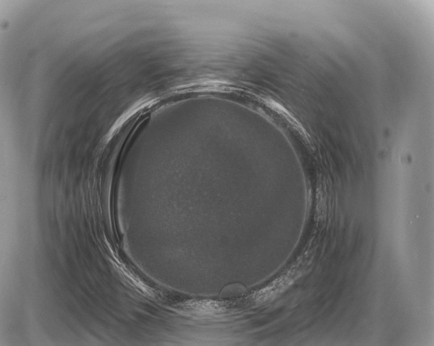 X0000087421450200704201414