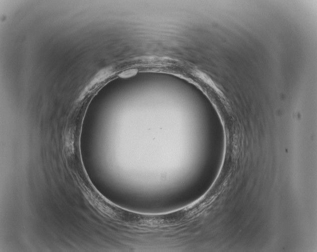 X0000087421451200704201414