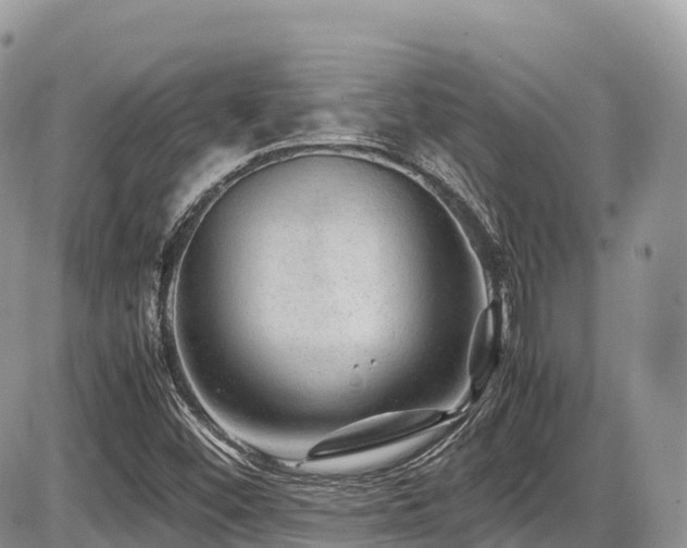 X0000087421452200704201414