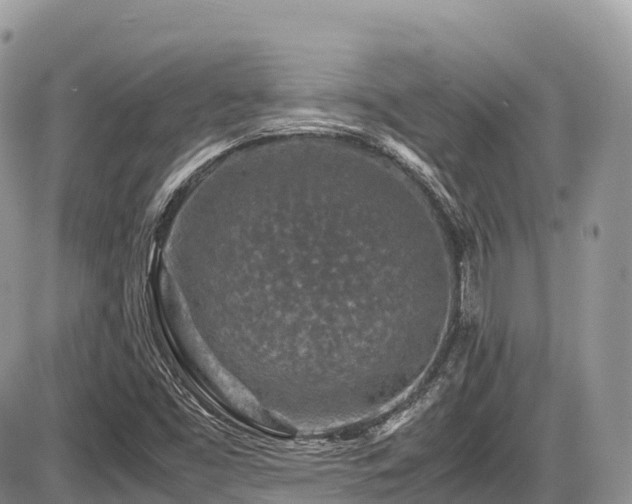 X0000087421453200704201414