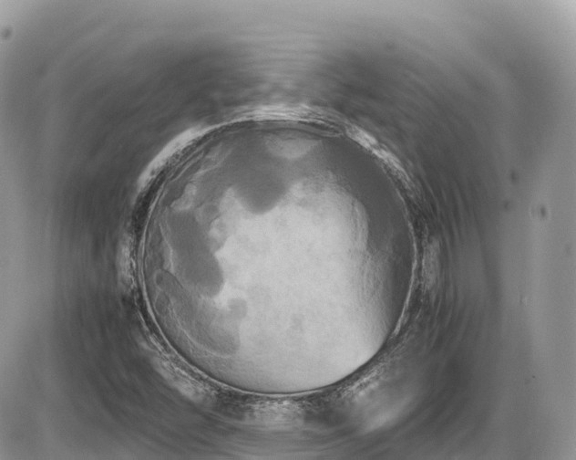 X0000087421454200704201414