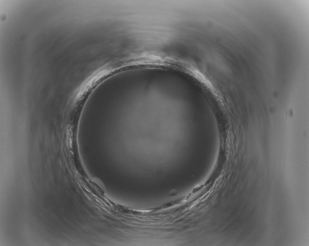 X0000087421455200704201414