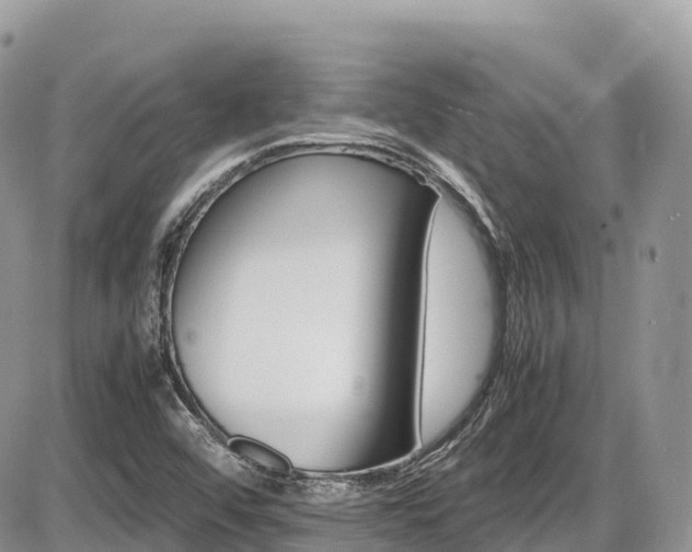 X0000087421456200704201414