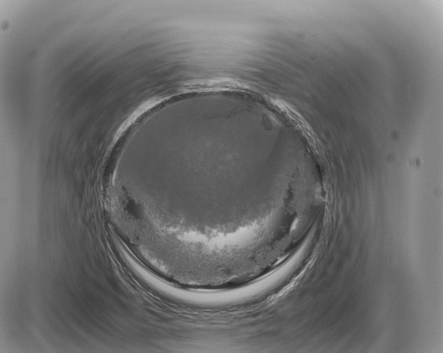 X0000087421457200704201414