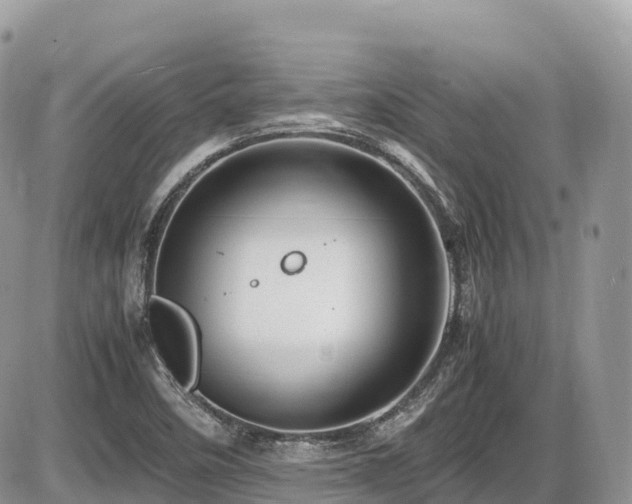 X0000087421458200704201414