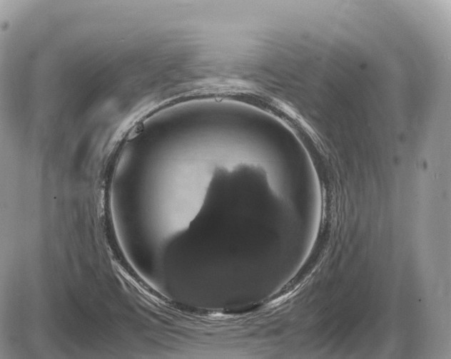 X0000087421459200704201414