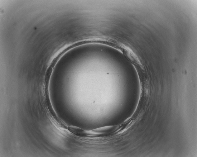 X0000087421460200704201414