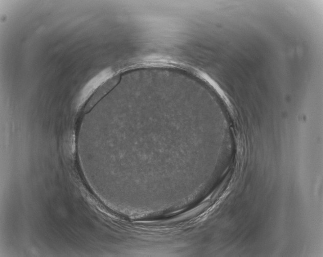 X0000087421461200704201414