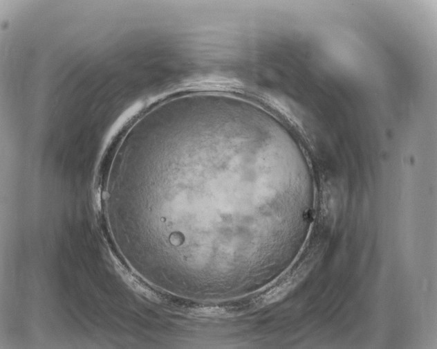 X0000087421462200704201414