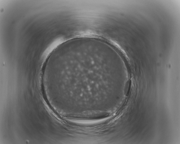 X0000087421463200704201414