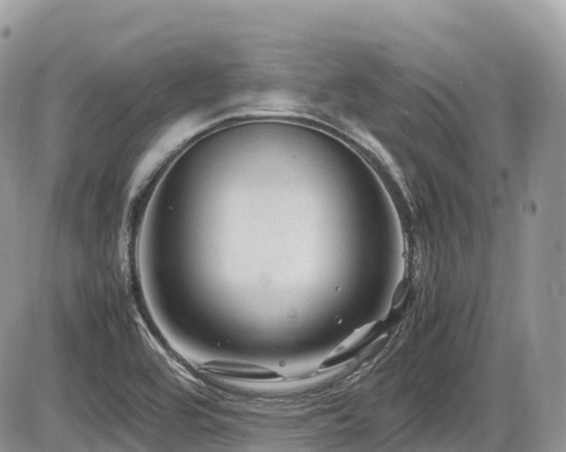 X0000087421464200704201414