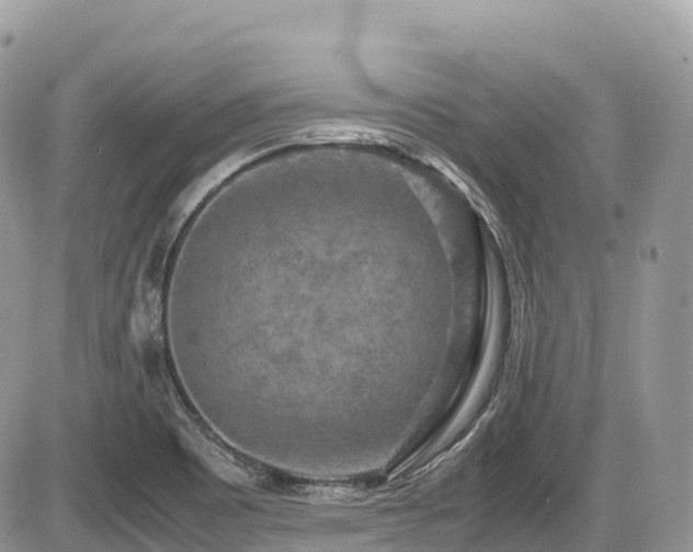 X0000087421465200704201414