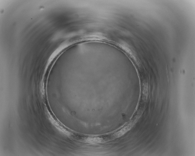 X0000087421466200704201414