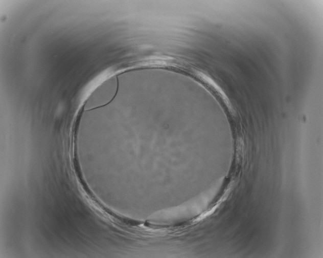 X0000087421467200704201414