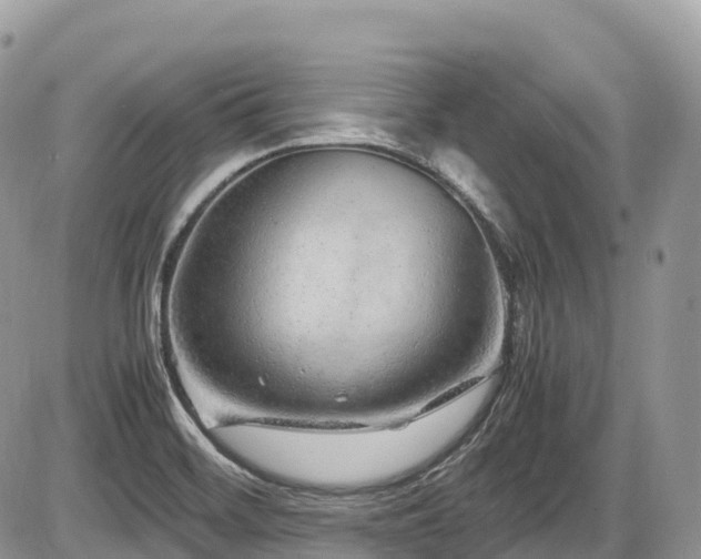 X0000087421468200704201414