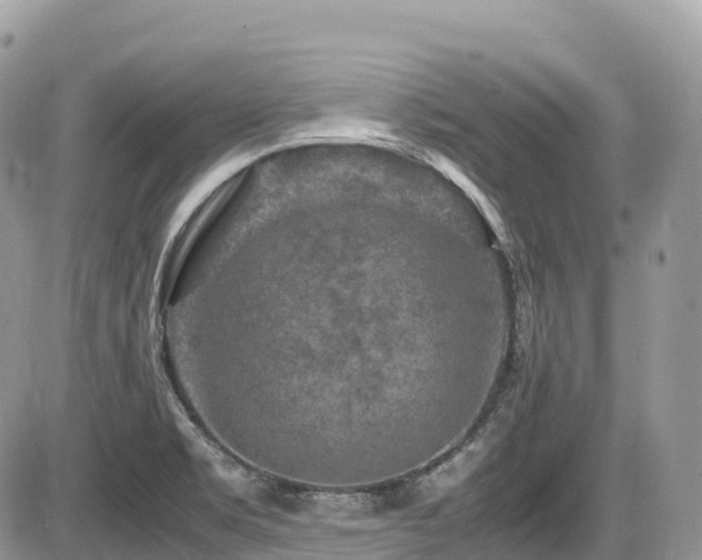 X0000087421469200704201414