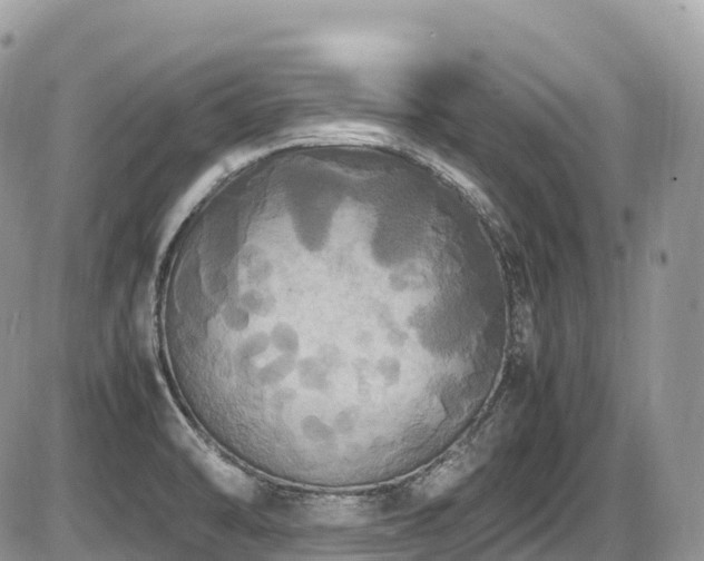 X0000087421470200704201413