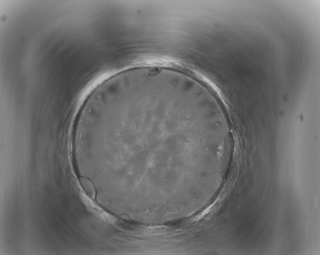 X0000087421471200704201413