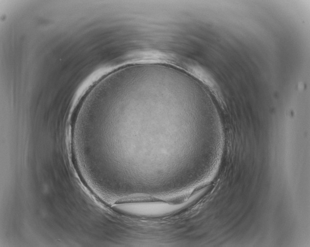 X0000087421472200704201413