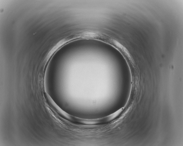 X0000087421473200704201413