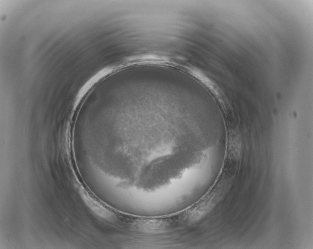 X0000087421474200704201413