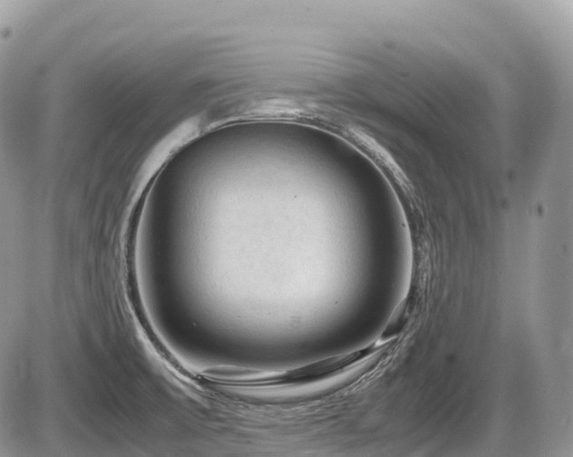 X0000087421475200704201413