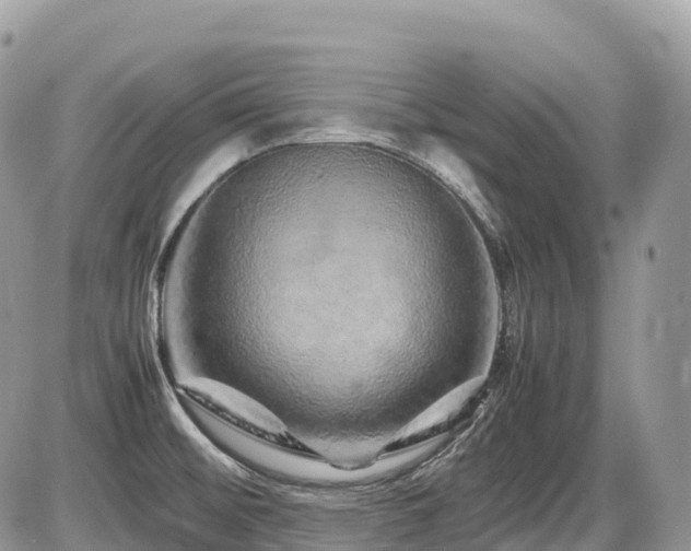 X0000087421476200704201413