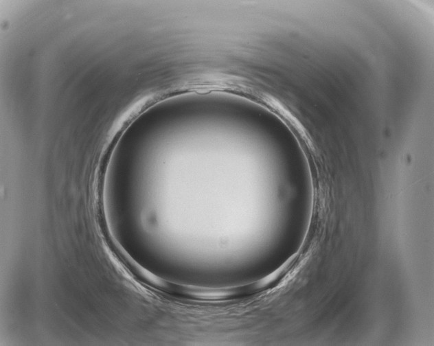 X0000087421477200704201413