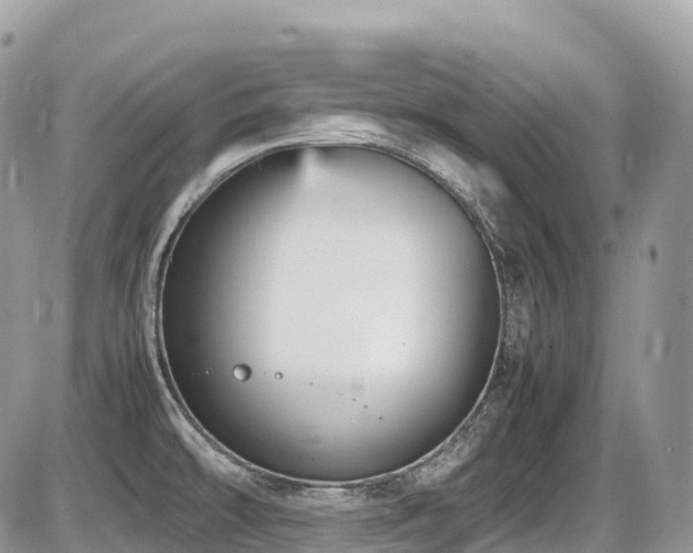 X0000087421478200704201413