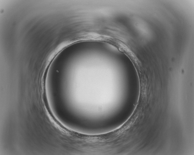 X0000087421479200704201413