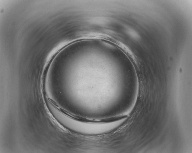 X0000087421480200704201413