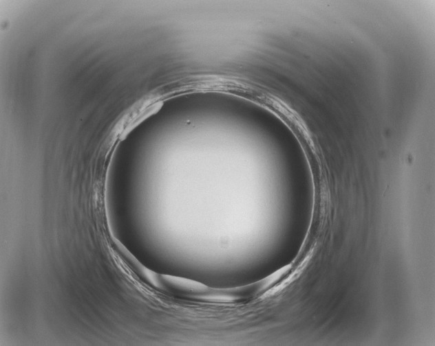 X0000087421481200704201413