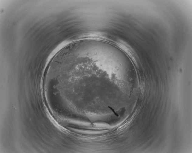 X0000087421482200704201413