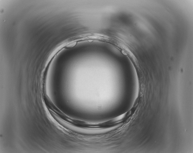 X0000087421483200704201413