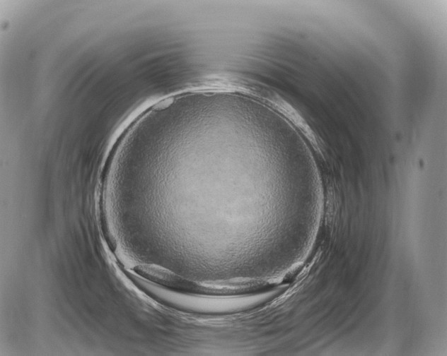 X0000087421484200704201413