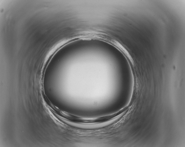 X0000087421485200704201413