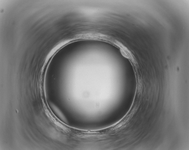 X0000087421486200704201413