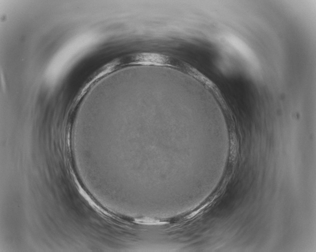 X0000087421487200704201413