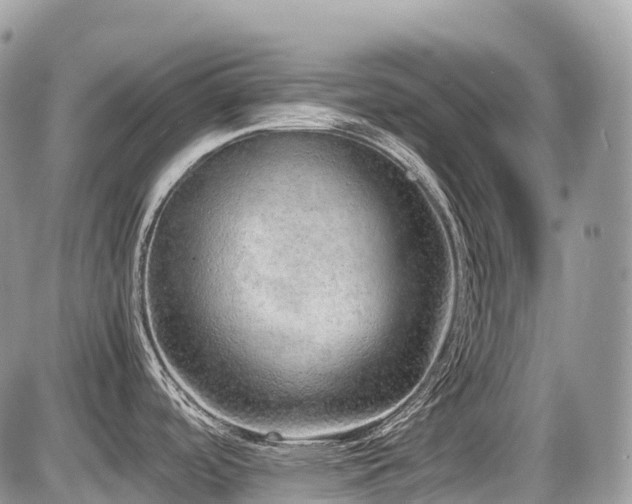 X0000087421488200704201413