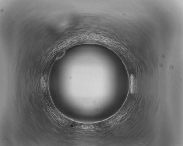 X0000087421491200704201412