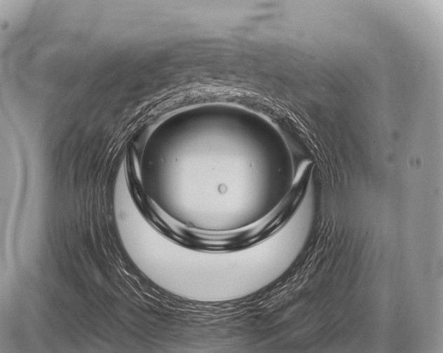 X0000087421492200704201412