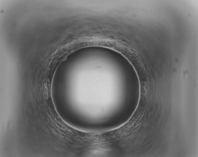 X0000087421493200704201412