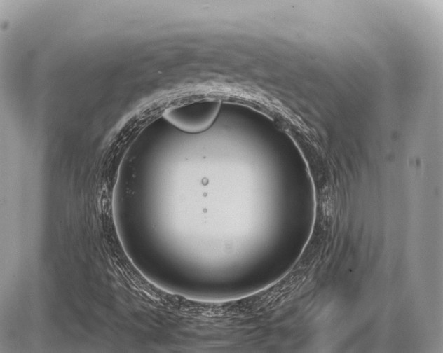 X0000087421495200704201413