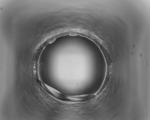 X0000087421496200704201413