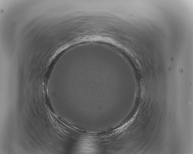 X0000087421497200704201413