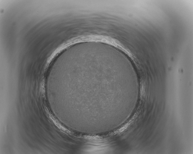 X0000087421498200704201413