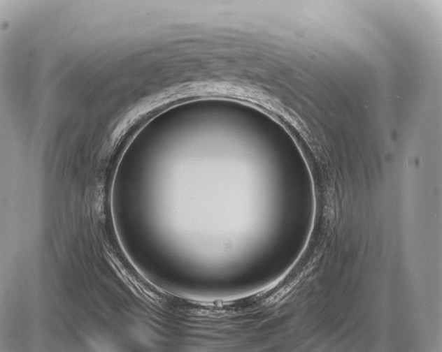 X0000087421499200704201413