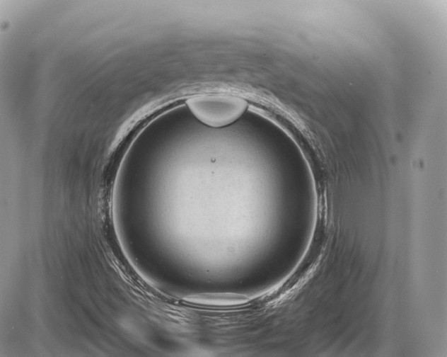 X0000087421501200704201413