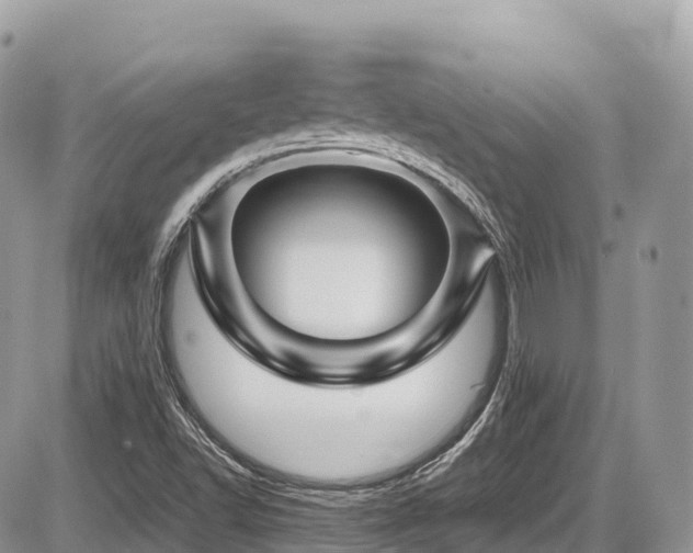 X0000087421502200704201413